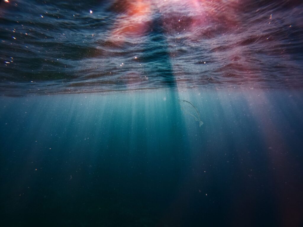 Wasseroberfläche von unten fotografiert, dunkel mit Lichteinfall, im Wasser schwimmt ein Dorsch als Wortspiel zum Namen Thomas Dorsch